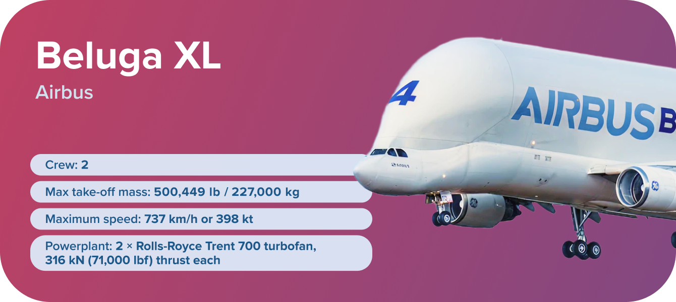 Beluga XL_main