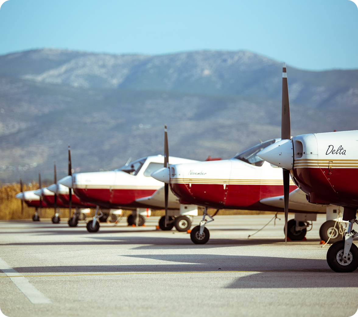 World’s Favourite Trainer