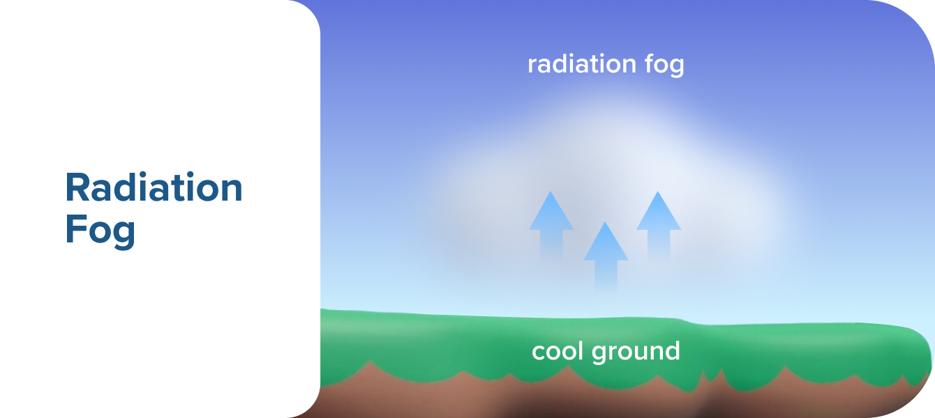 Radiation Fog