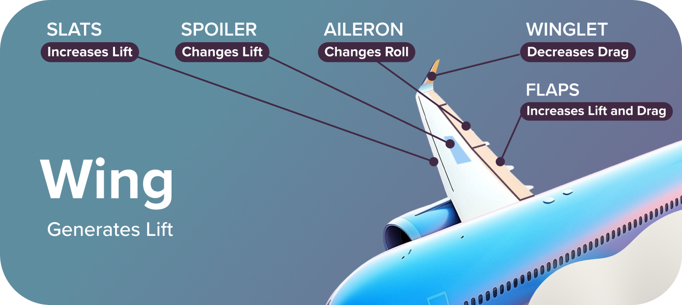Understanding Aircraft Wings