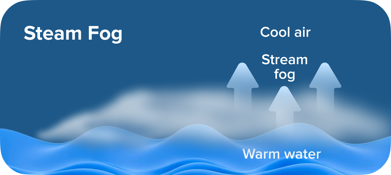 Steam Fog