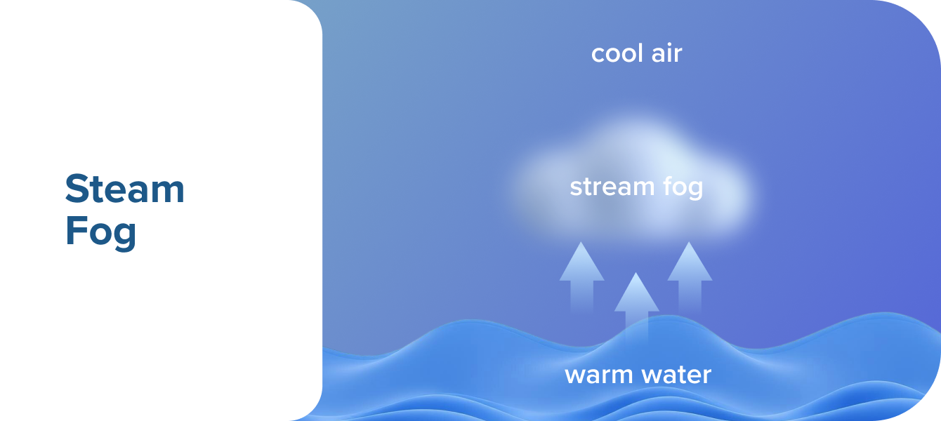 Steam Fog