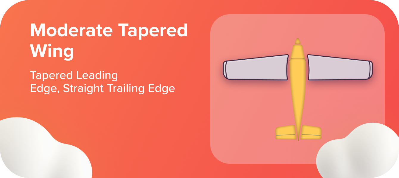 Moderate Tapered Wing