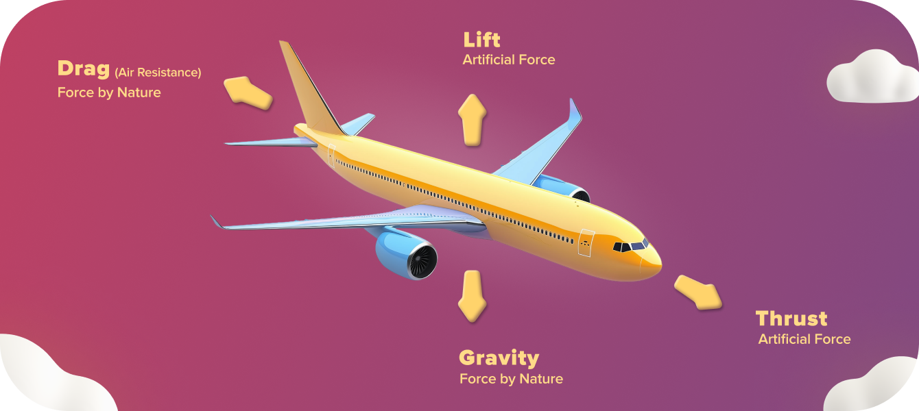 Forces of Flight