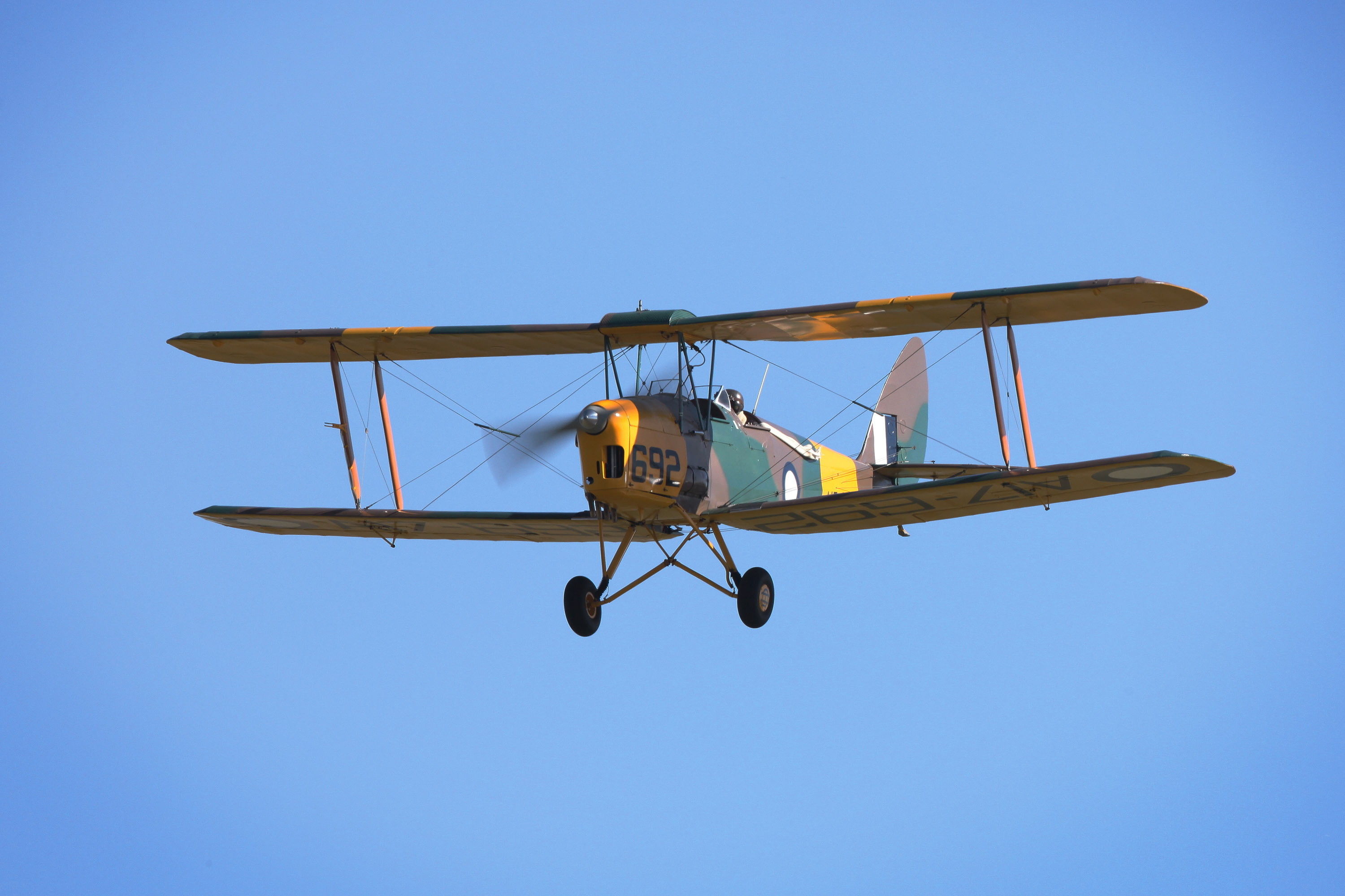 Tiger Moth 03