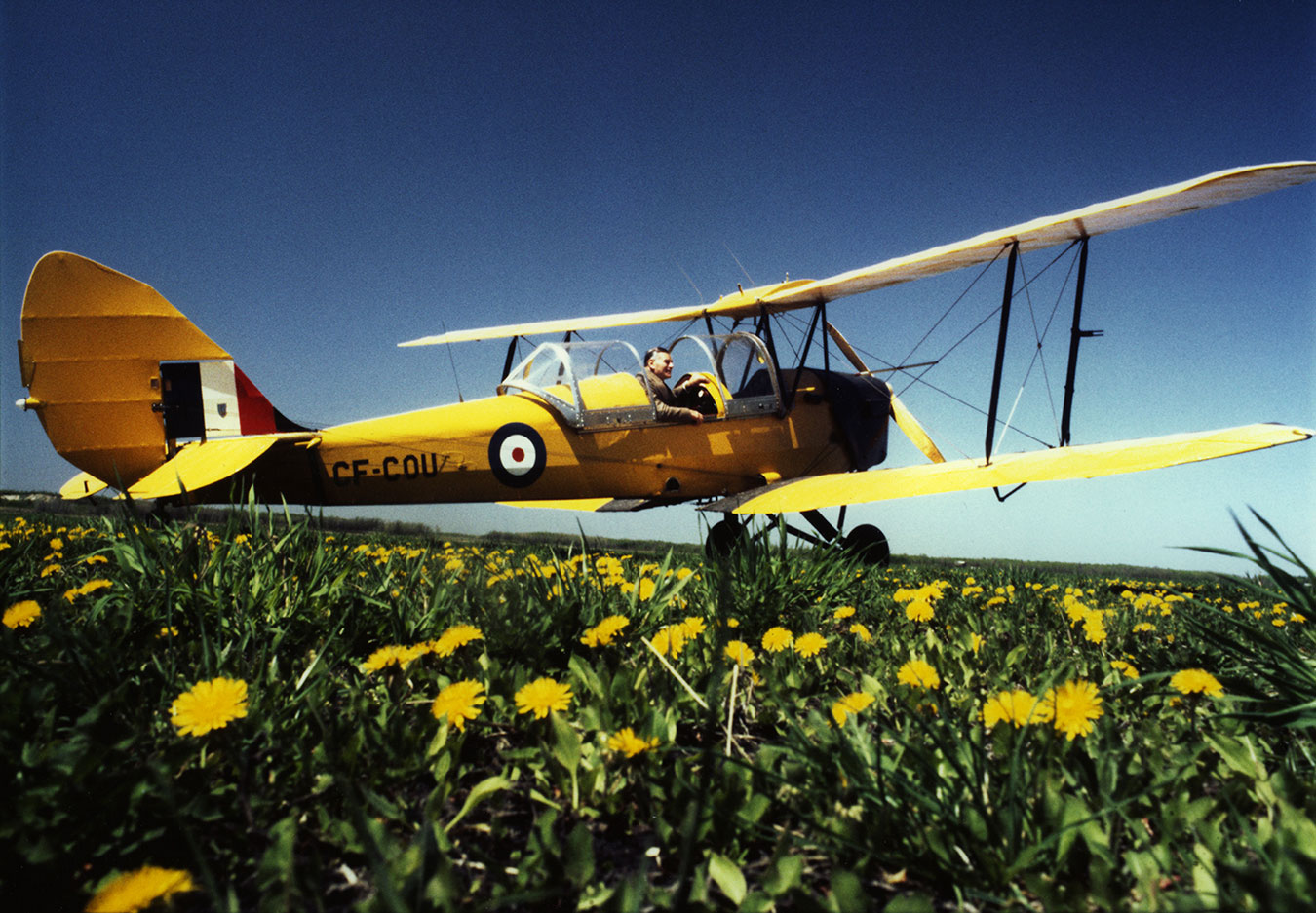 Tiger Moth 02