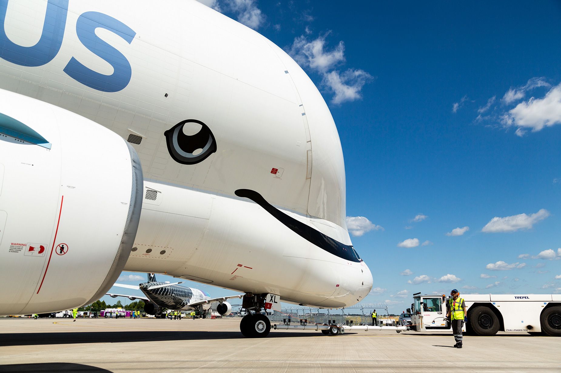 Belugaxl whale smile